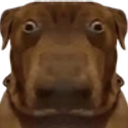 DarkChouffin