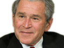 :bush: