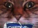 :Chat_zoom_caprisun_:
