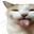Photo de profil de GeorgeABiteMole