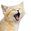 :chat_du_desert: