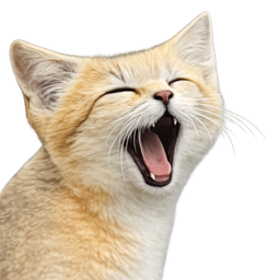 :chat_du_desert: