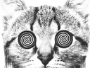 :hypnochat: