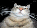 :CS_Regarde: