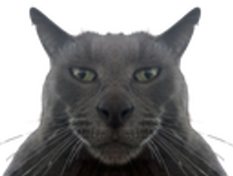 :BabChad: