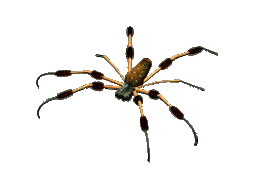 :spider-man: