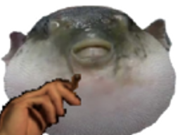 :Poisson_fume: