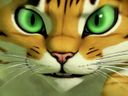 :chat_zoom6: