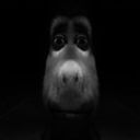 :Donkey: