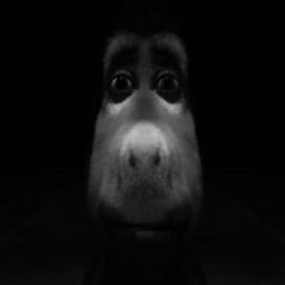 :Donkey: