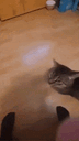 :Missile_chat:
