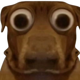 :teddivoyeur: