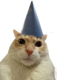 :abracadamiaou: