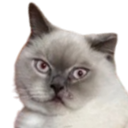 :Chat_AhuriKJ_: