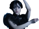 :Vendredi_addams: