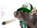 :rat_au_rsa: