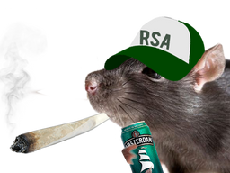 :rat_au_rsa: