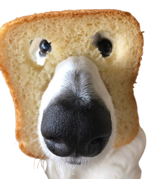 :Chien_toast: