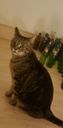 :Chat_marlou: