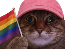 :chat_zoom_lgbt: