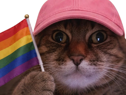 :chat_zoom_lgbt: