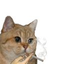 :Sodium_fume_main: