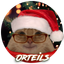 Photo de profil de Orteils