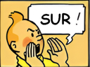 :tintinsur: