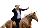 :zemmourcheval: