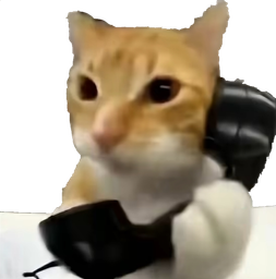 :Allo_chatva: