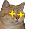 :sodium_etoile: