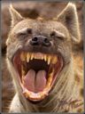 :Sourire_amical: