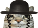 :CS_Juif: