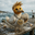 Photo de profil de LaMouetteAhi
