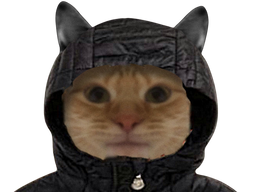 :capuche: