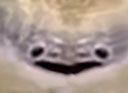 :RickyP: