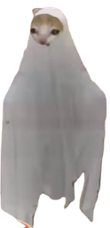 :chat_fantome: