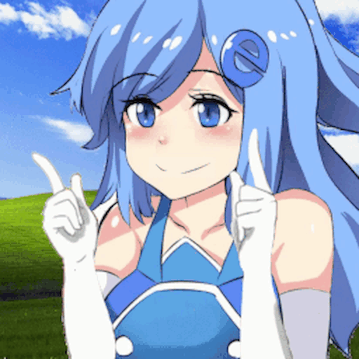 MSIE