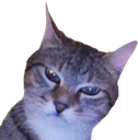 :Chat_mepris:
