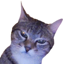 :Chat_mepris:
