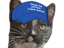 :chat_autism2: