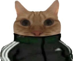 :chadidas: