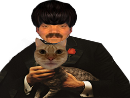 :parrain_chat: