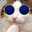 :Chat_pense_lunettes:
