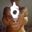 Photo de profil de MrMouche