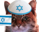 :ChatZoomIsrael: