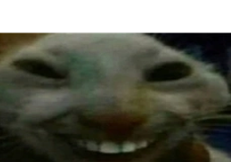 :xdd: