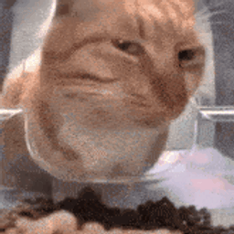 :Chat_suspect:
