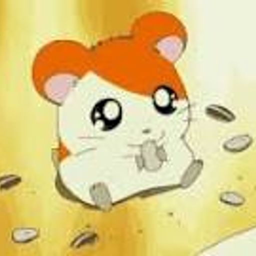 EIisa