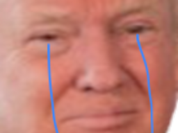 :trumpsnif: